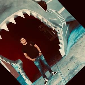 Meet your Posher, Leo